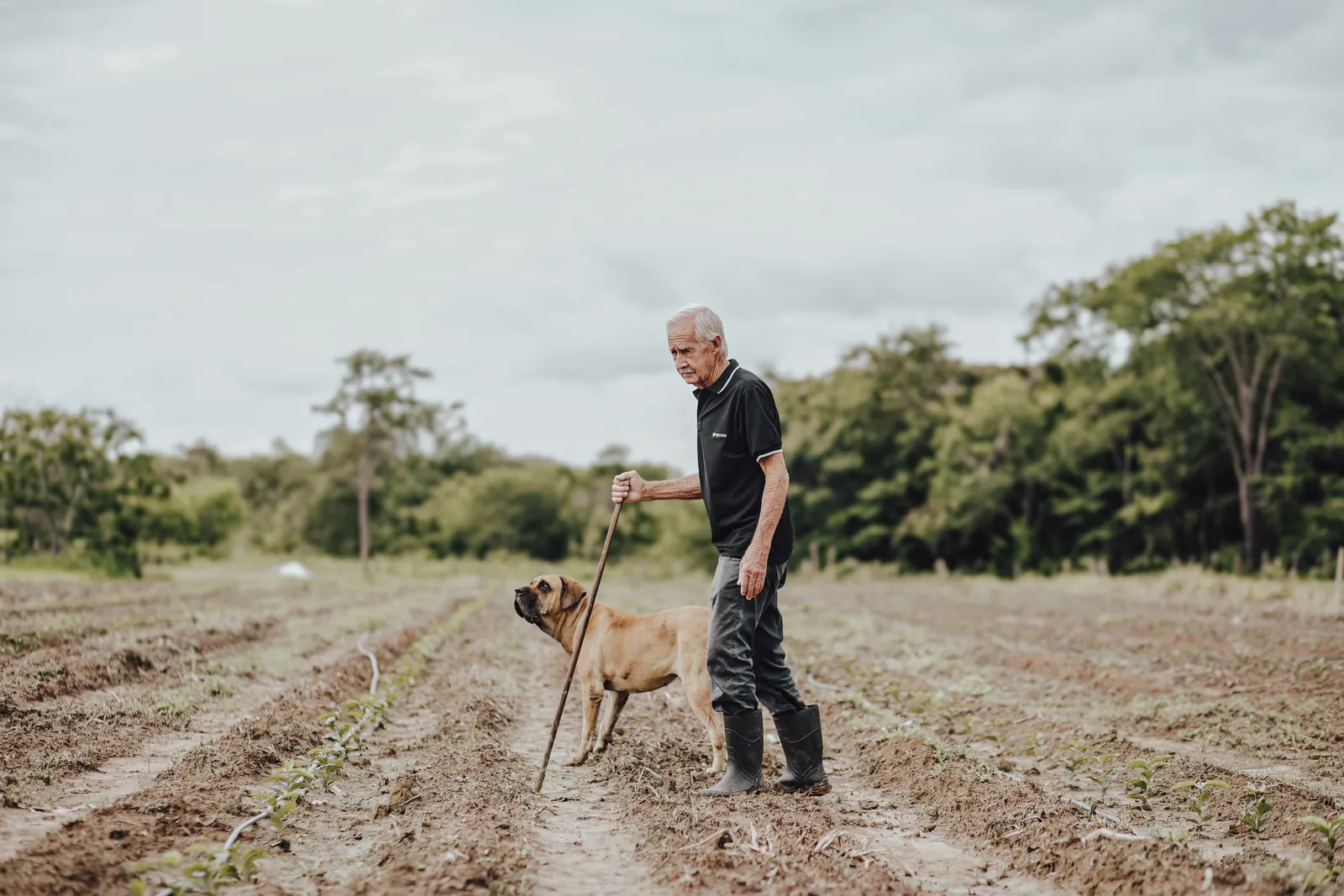 Paulo geht mit seinem Hund durch das frisch bepflanzte Feld