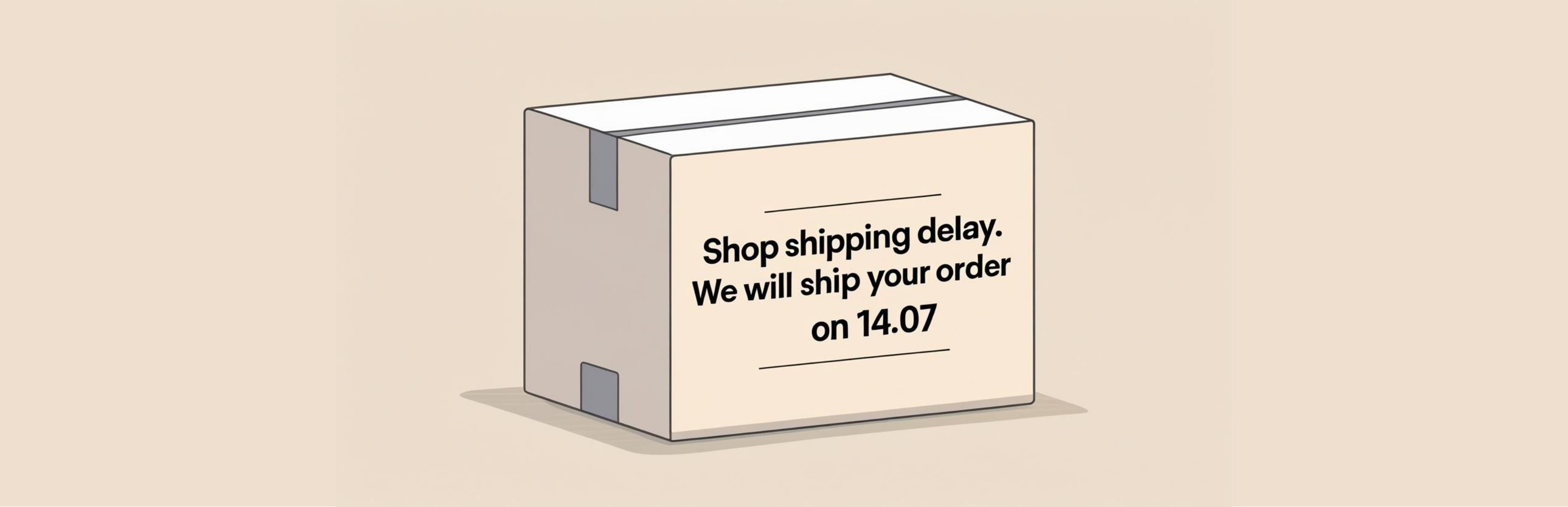 Shipping Delay 2025